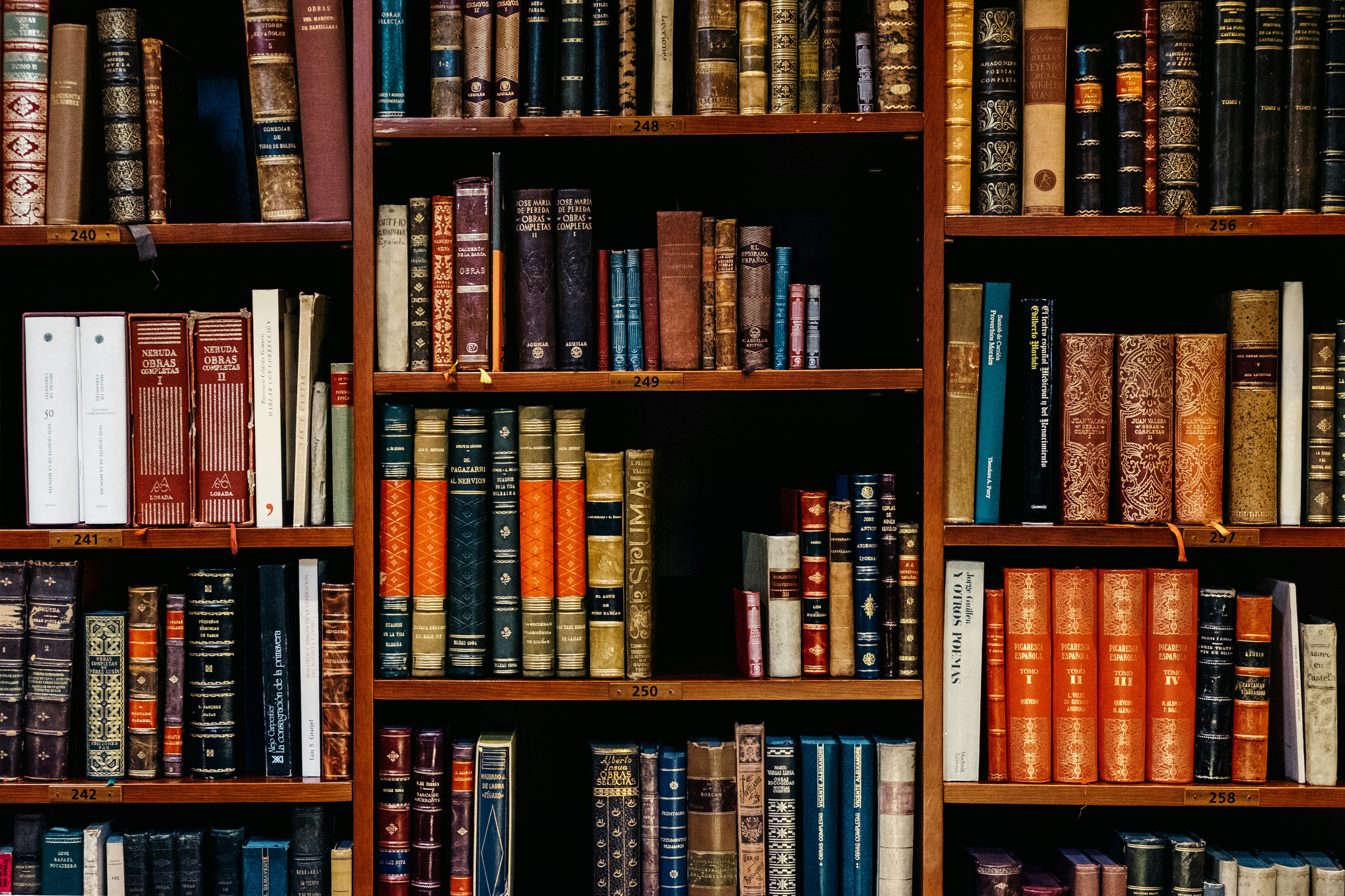 Cover of The Midnight Library book